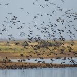 The Art of Drawing Readers In: Your attractive post title goes here