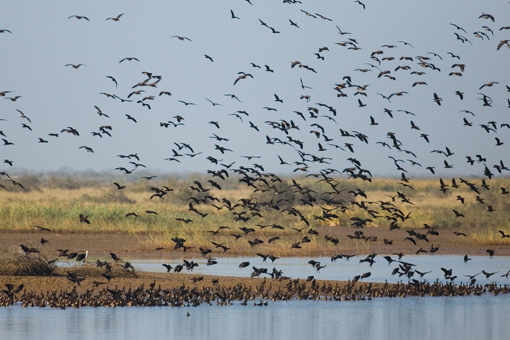 The Art of Drawing Readers In: Your attractive post title goes here