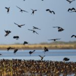 Mastering the First Impression: Your intriguing post title goes here