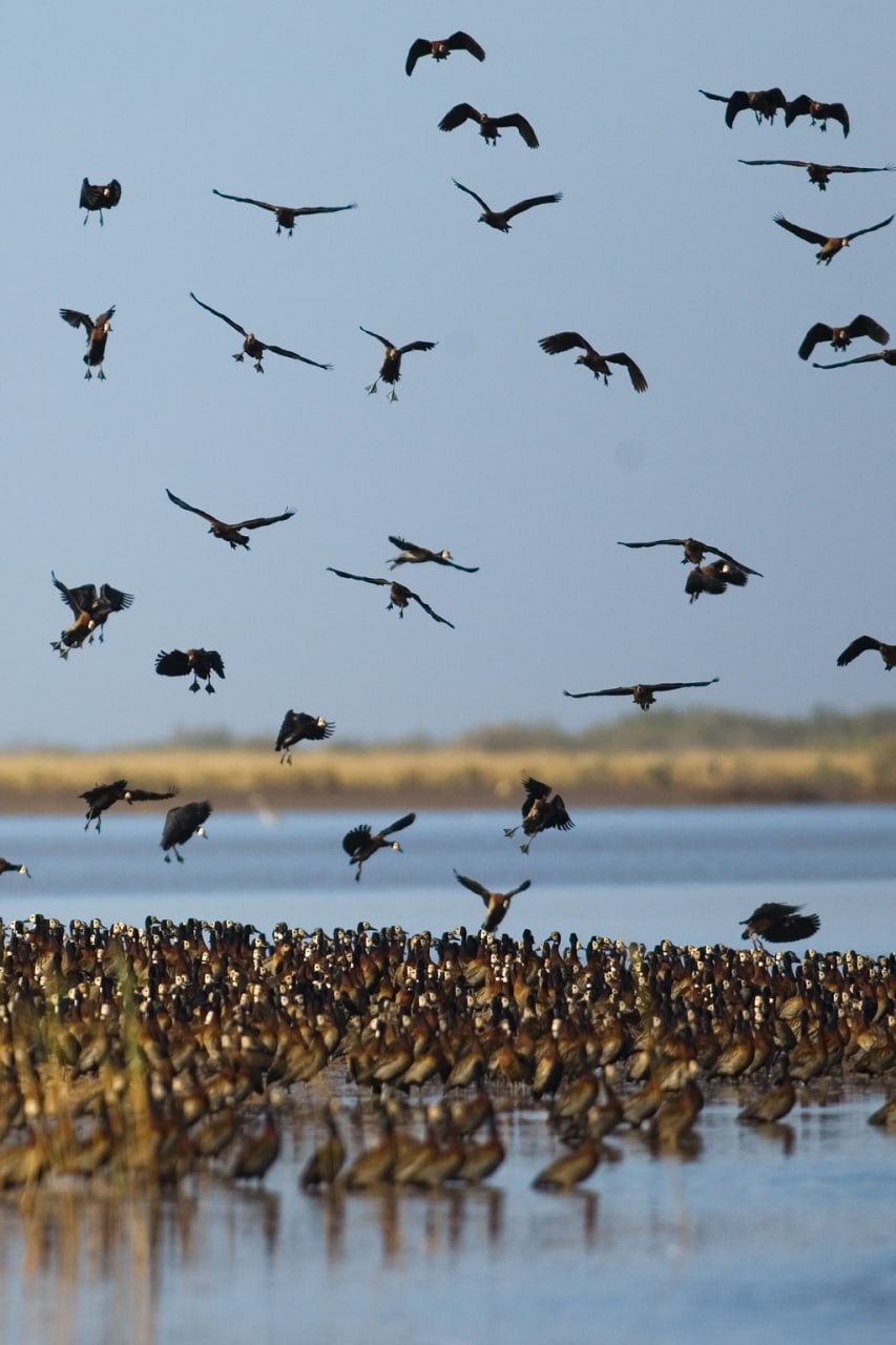 IMG 20230918 170802 716