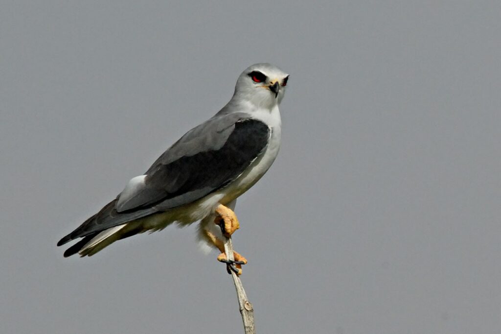 IMG 20230918 170827 935 1024x682