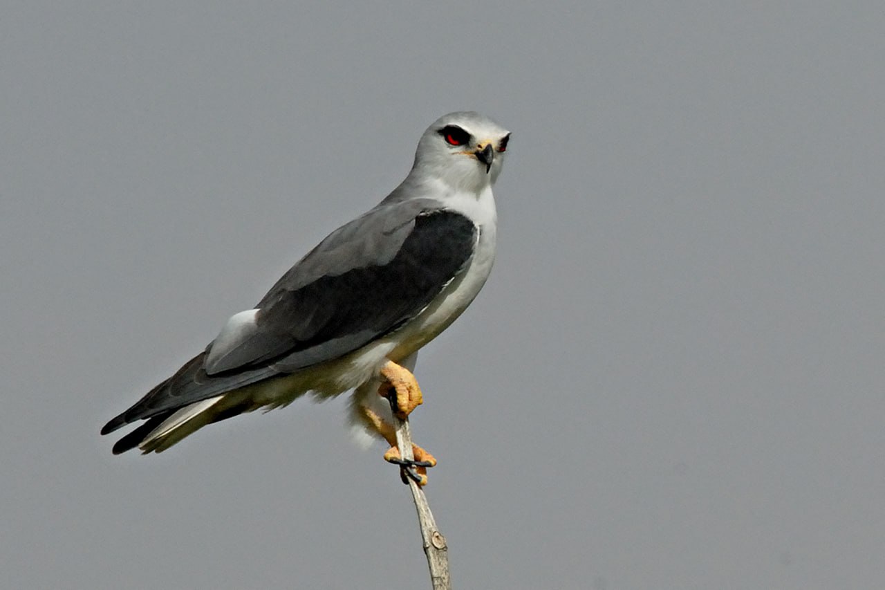 IMG 20230918 170827 935