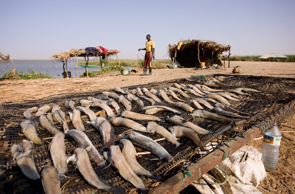 IMG 20230918 170834 388