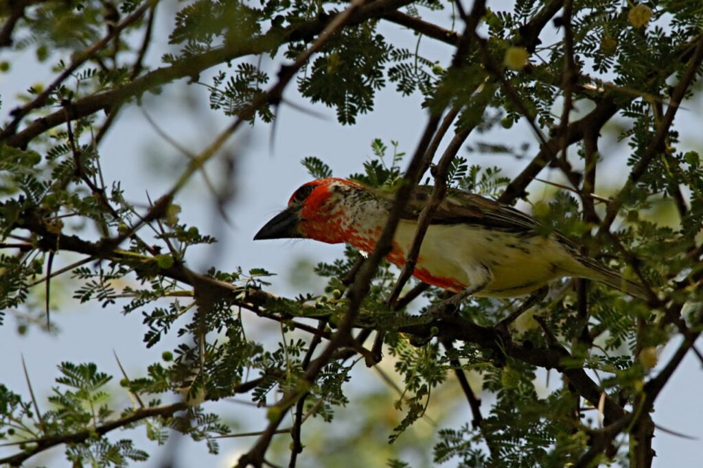 IMG 20230918 170841 957 1024x682