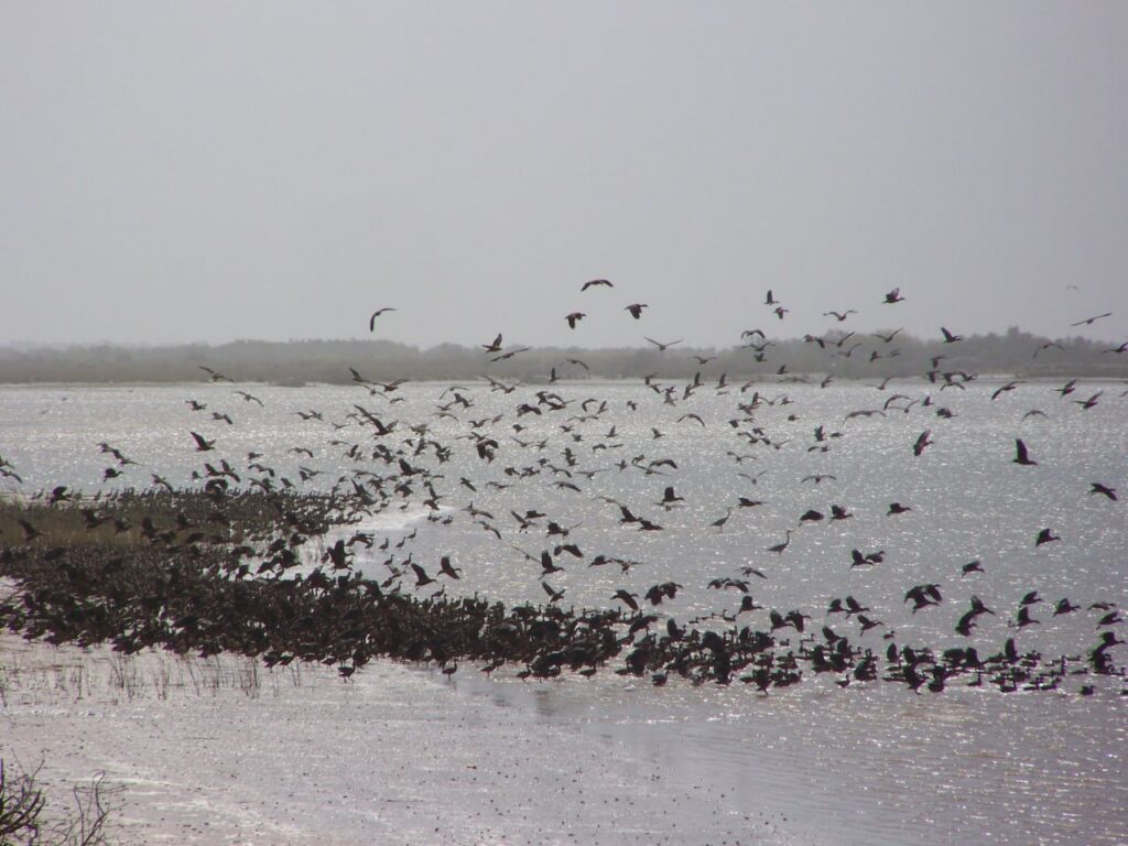 IMG 20230918 170853 043 1024x768