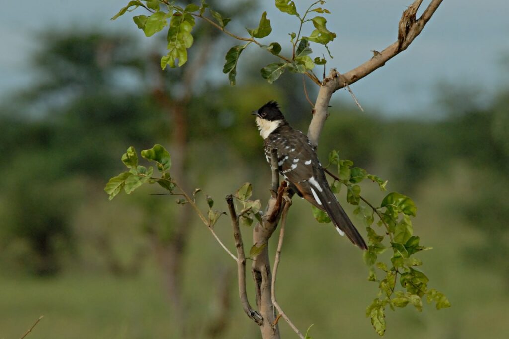 IMG 20230918 170924 307 1024x682