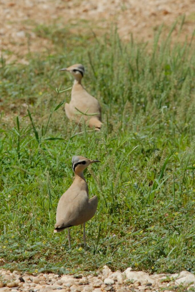 IMG 20230918 170936 912 682x1024