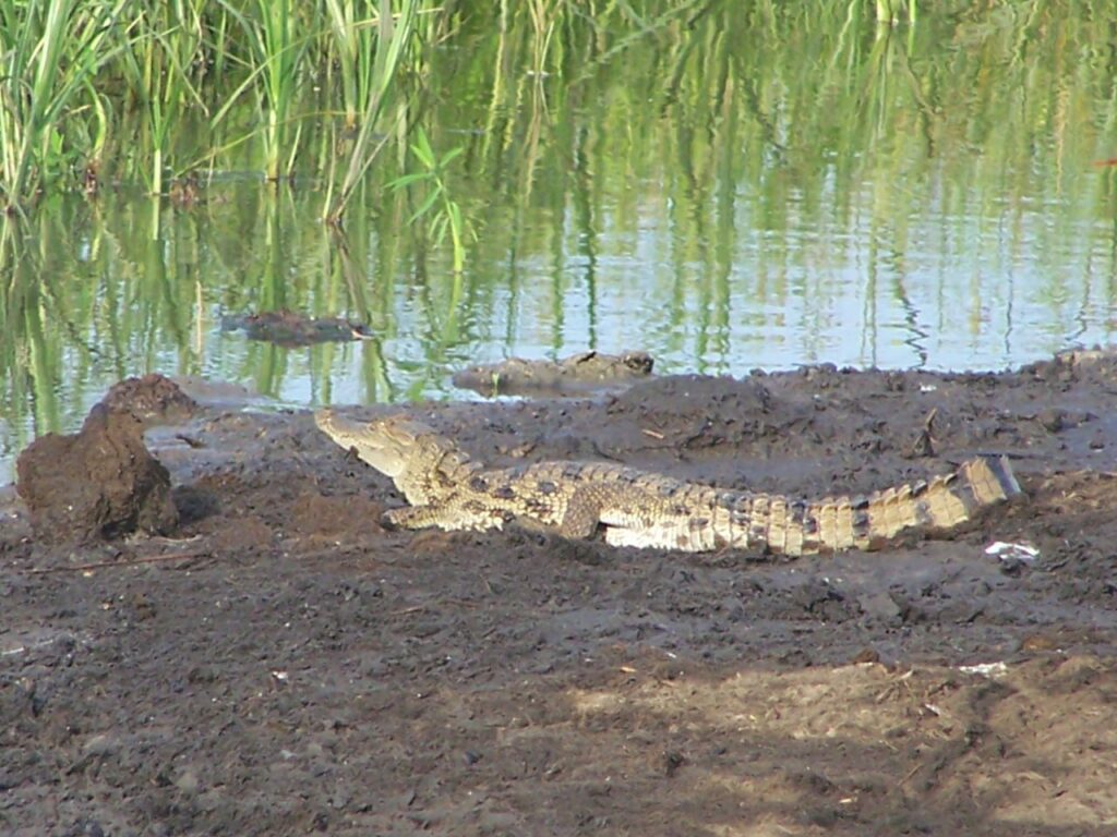 IMG 20230918 170942 076 1024x768