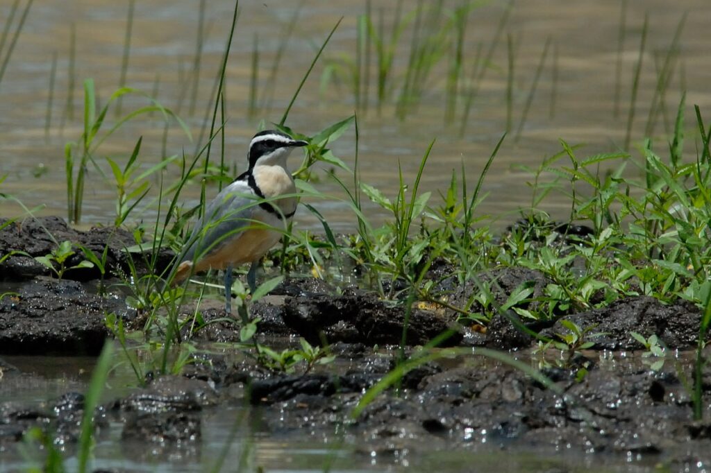 IMG 20230918 170954 956 1024x682