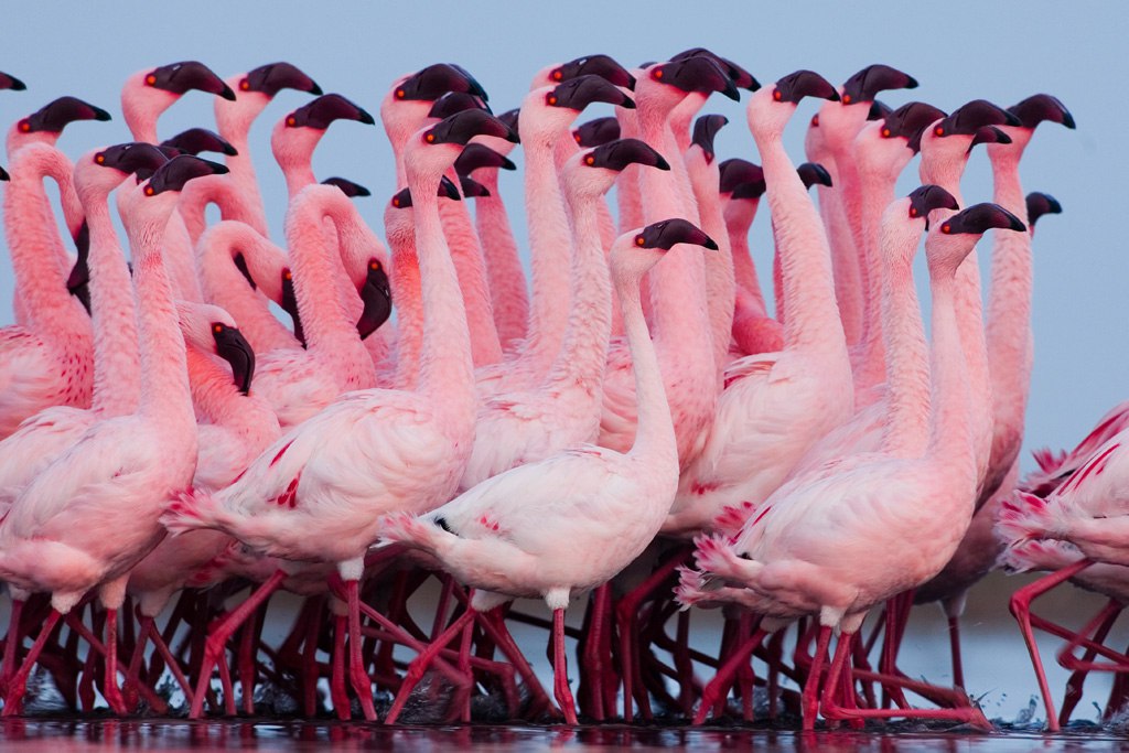 IMG 20230918 171000 201