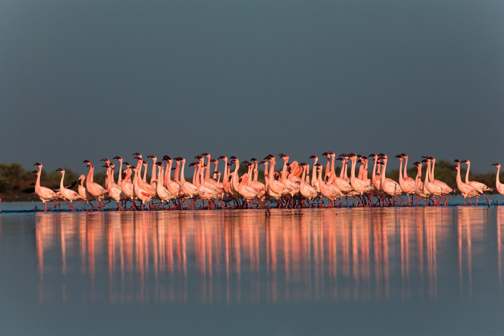 IMG 20230918 171025 076