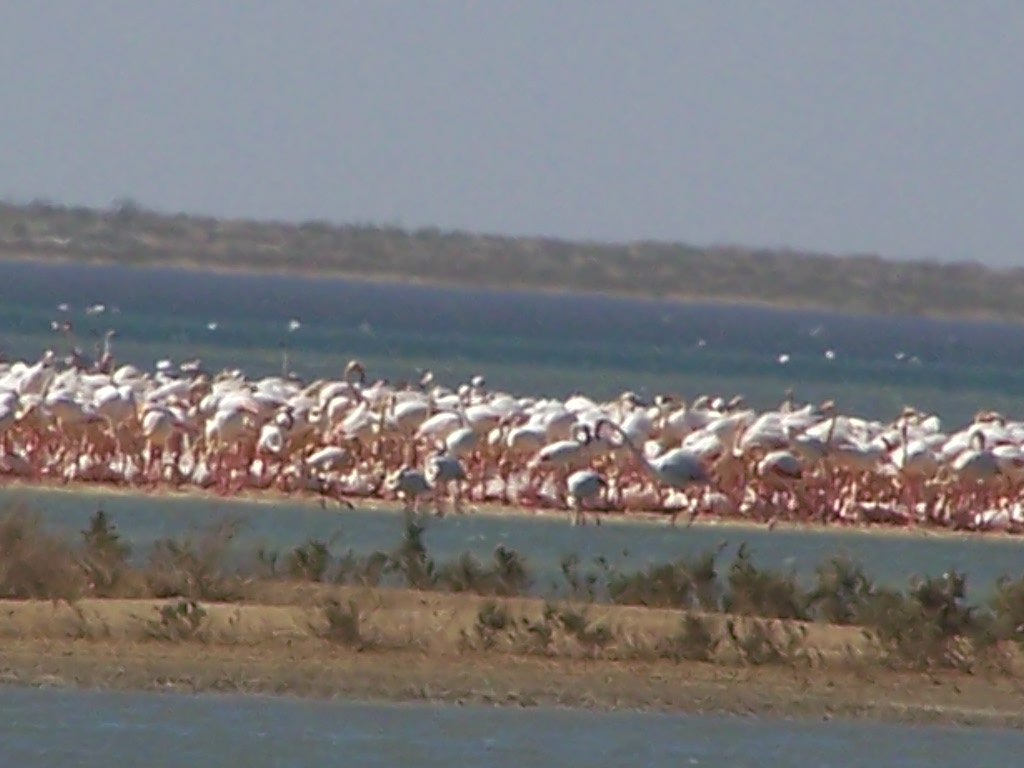 IMG 20230918 171030 453