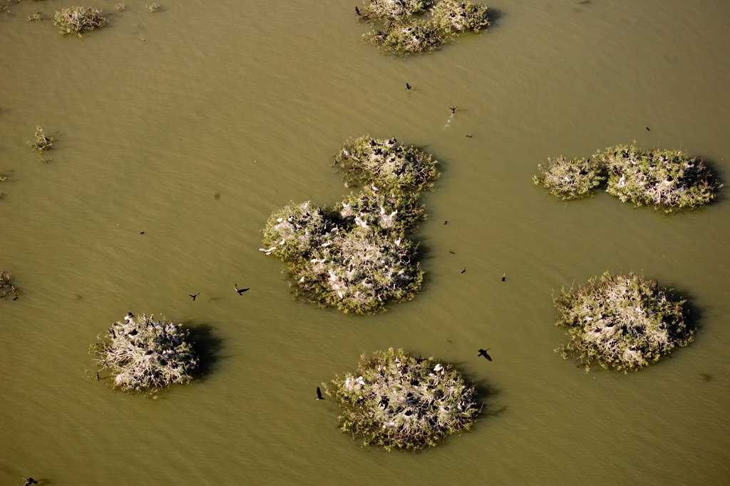 IMG 20230918 171112 059 1