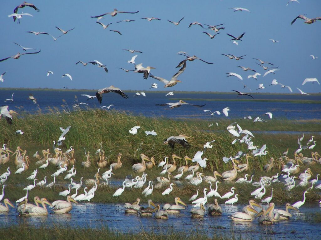 IMG 20230918 171215 086 1024x768