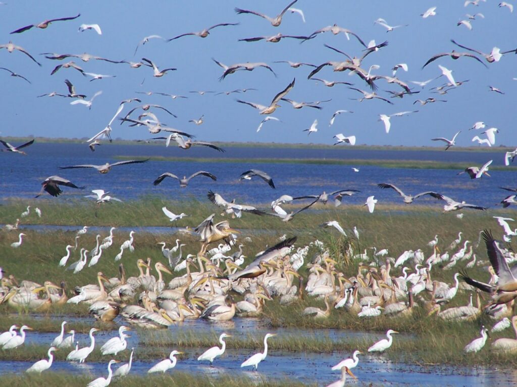 IMG 20230918 171221 535 1024x768