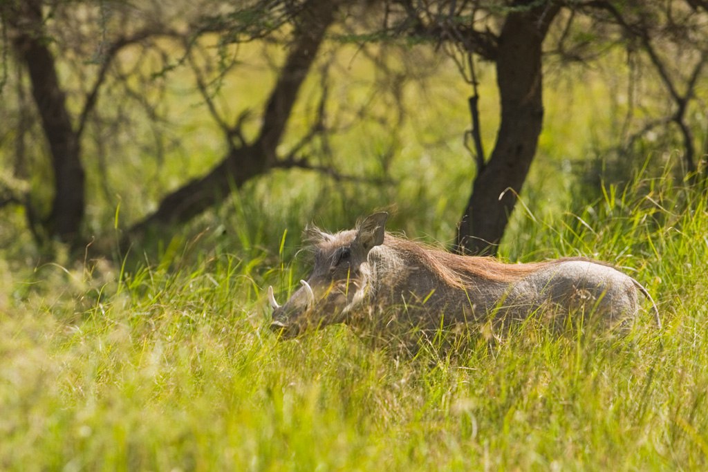 IMG 20230918 171227 181